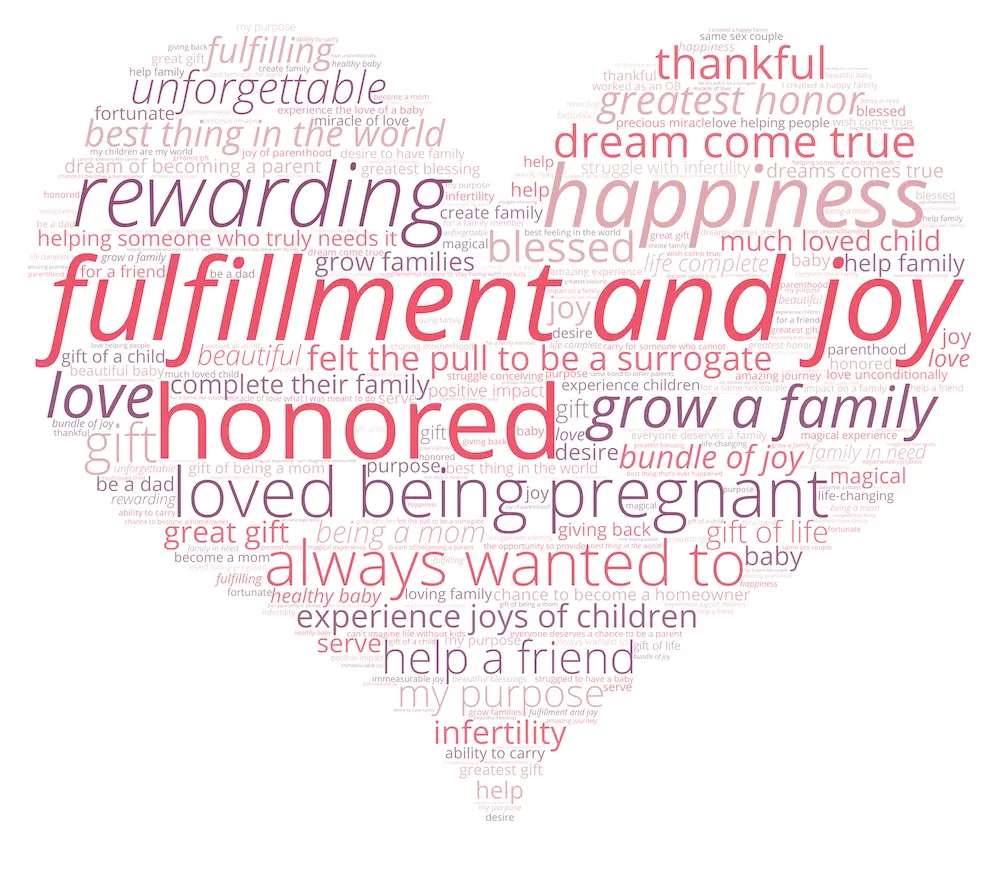 https://www.admin-cms.conceiveabilities.com/wp-content/uploads/2024/11/words-to-describe-being-a-surrogate-4.webp